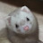 @수아씨_0801
