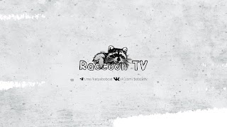 Заставка Ютуб-канала «Raccoon TV»