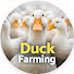 o2LgdQG4aIw-channel-avatar-Duck Farming