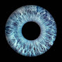 Dignity Image Thumbnail