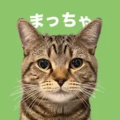まっちゃんねる