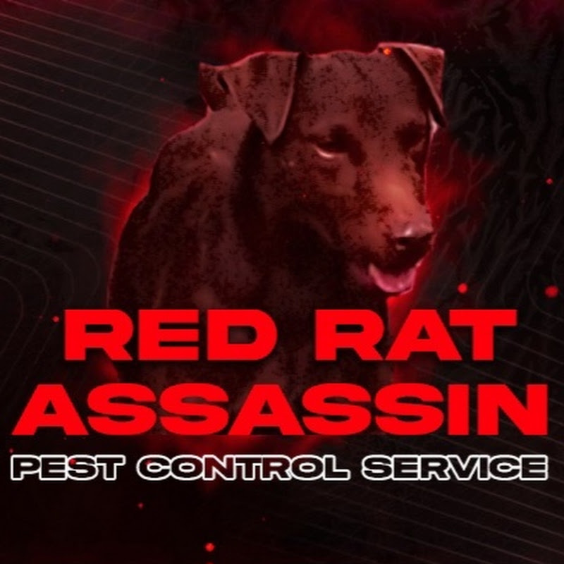 Red Rat Assassin Pest control service