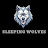 @Sleepingwolves1