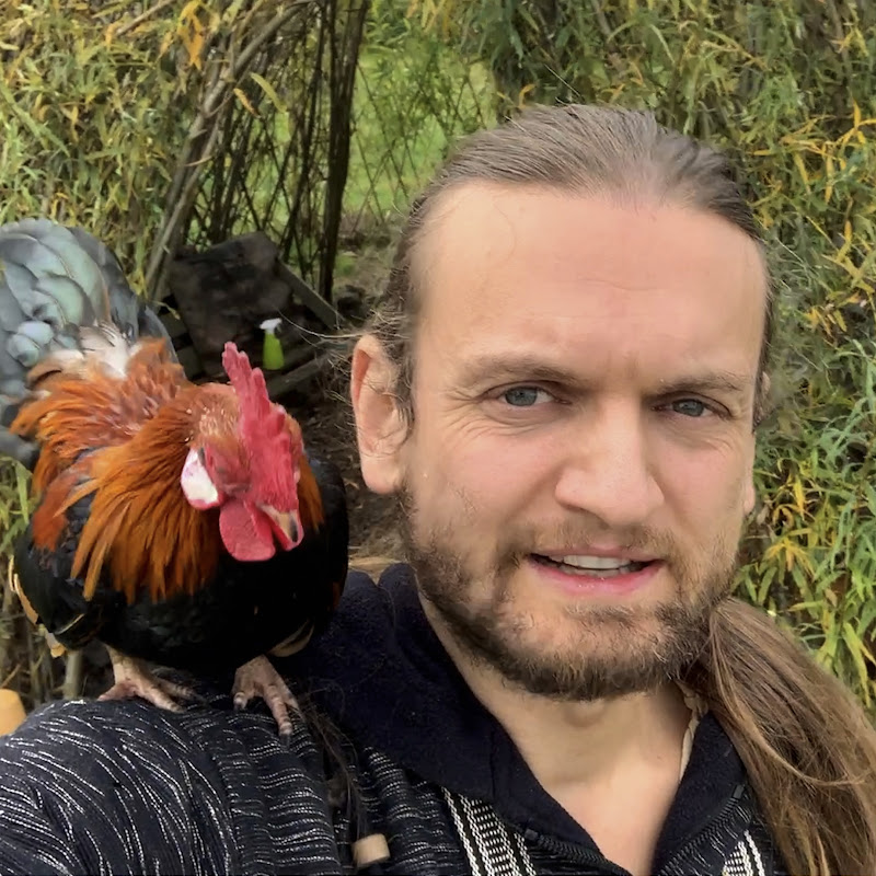 User Profile