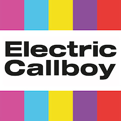 Electric Callboy net worth