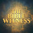The Bible Witness
