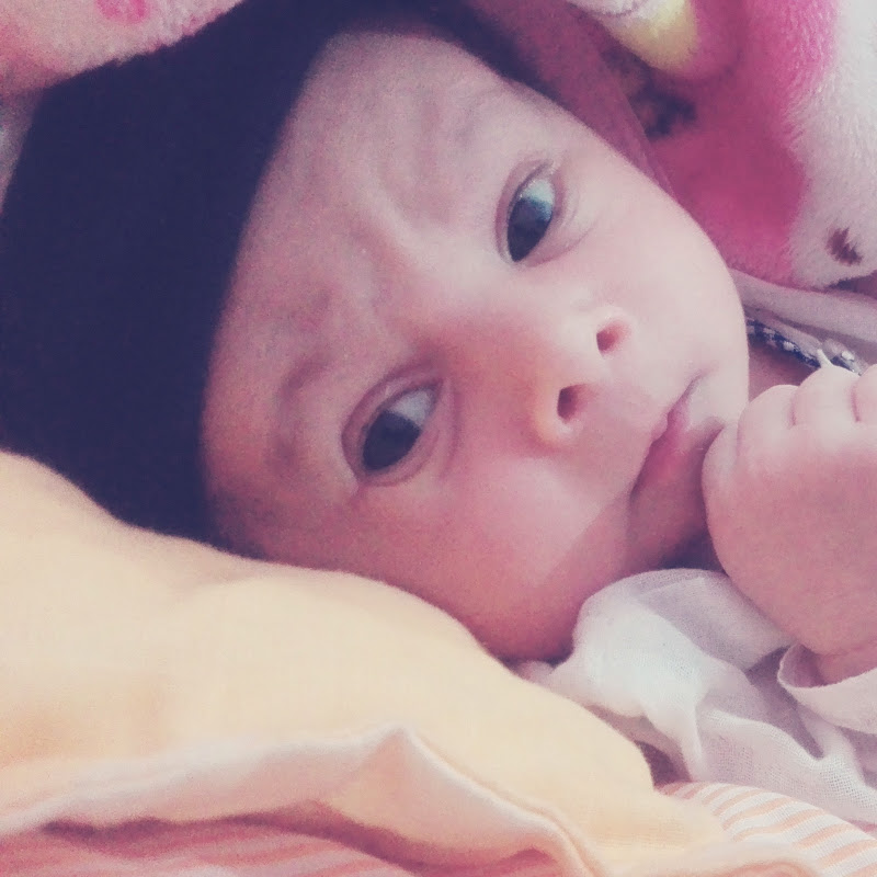 Like Anaya Vlog