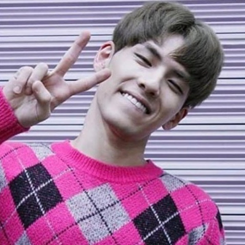 Wonpil's Pink Sweater