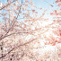 VooyE8ZaO8A-channel-avatar-My world accordingly