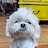 @엑스알피589