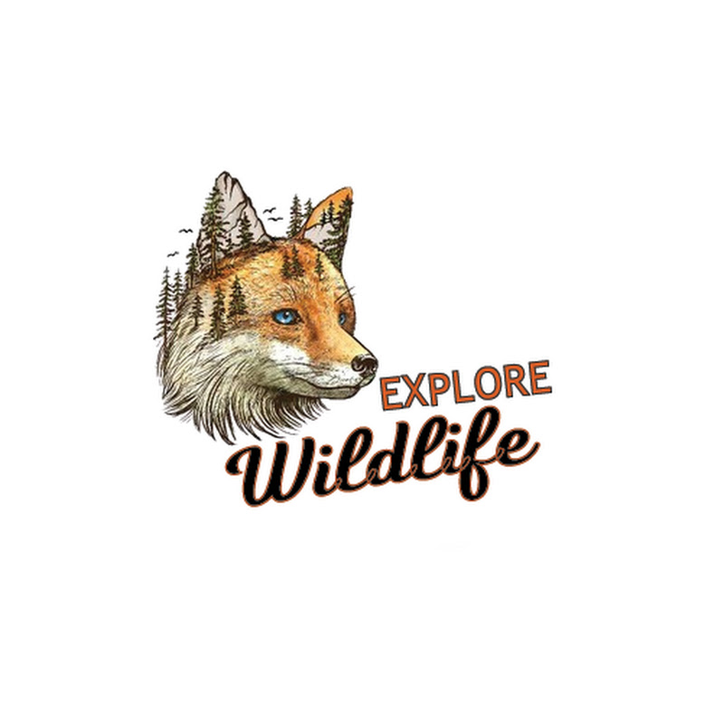 Explore Animals Life