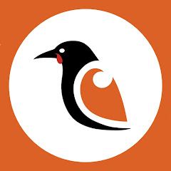 Te Wānanga Ihorangi