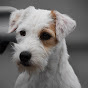 Miniature