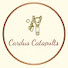 z0toiH8T738-channel-avatar-Cardus Catapults 
