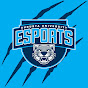 Augusta University Esports logo