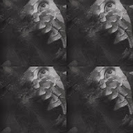 thumbnail img1x1