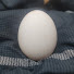 TXJGurBsh_4-channel-avatar-Egg Gaming