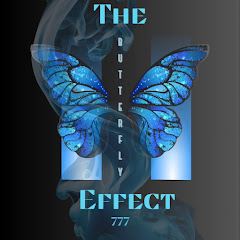 The Butterfly Effect 777 LLC 🦋