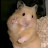 @Hypostomusplecostomus-jy4pg