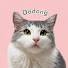 36HXJ7mY_Ww-channel-avatar-DodongFancam도동직캠