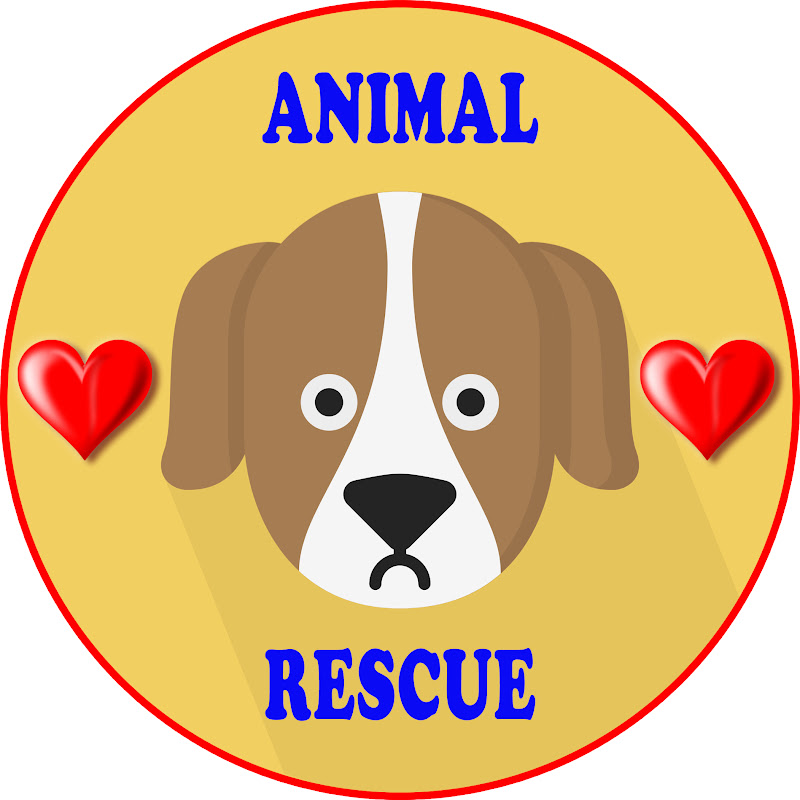 Animal Rescue