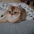 @페퍼민트와함께