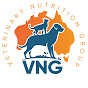 VNG logo