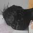 99Eb6vWDN4A-channel-avatar-Evie'sLovelyChannel