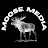 Moose Media 