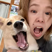 めろめろぱんちch
