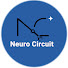 0uY9gczh2fk-channel-avatar-neurocircuit