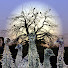 0Z07ovucNAk-channel-avatar-Jason Prinz - Five Emus, Our Natural Country