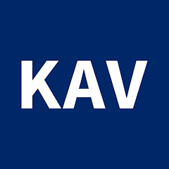 Korean American Voice