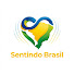 Z_w2vjlD-58-channel-avatar-Sentindo Brasil