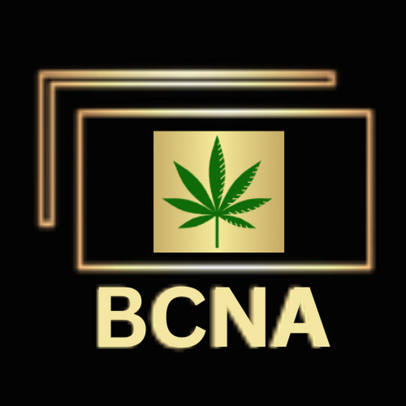 Why Google Keeps Ignoring Your Dispensary Mar #1   #shorts  #videoblogging