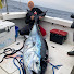 4uEMb9EgYZs-channel-avatar-YOBO fishing channel