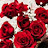 @زينبوسامسعيد