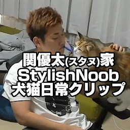 【切り抜き】関優太(StylishNoob)家、犬猫日常クリップ