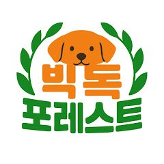 사단법인 빅독포레스트 유기견보호소