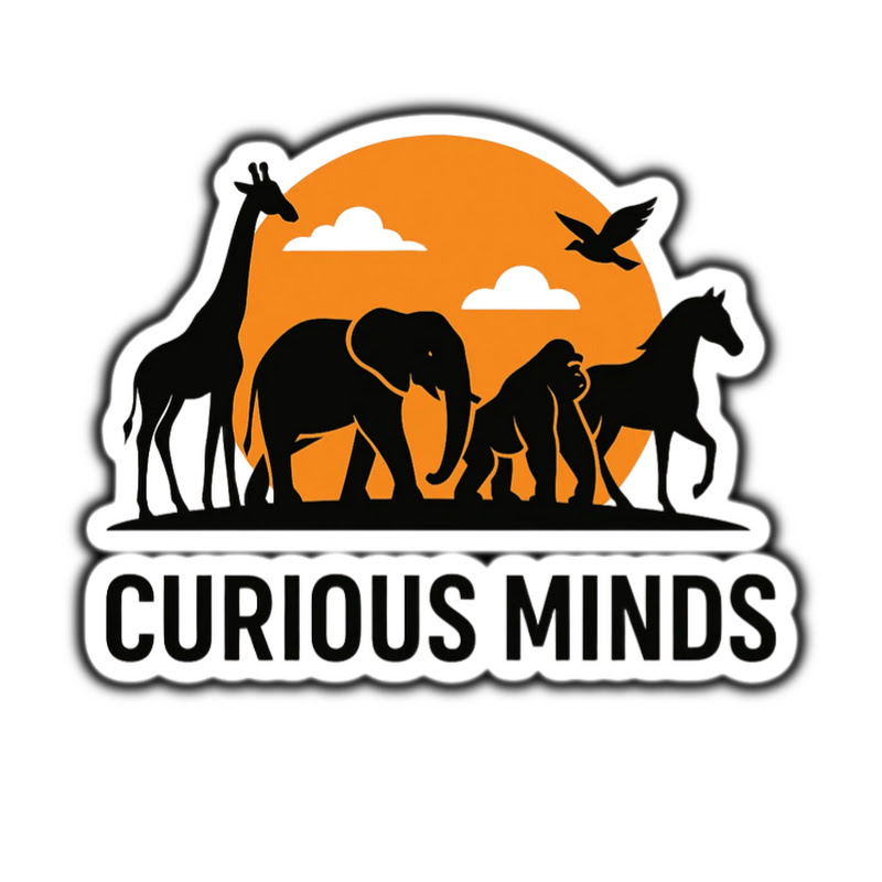 Curious Minds