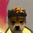 ZeI8mluYNbM-channel-avatar-ValoRandom