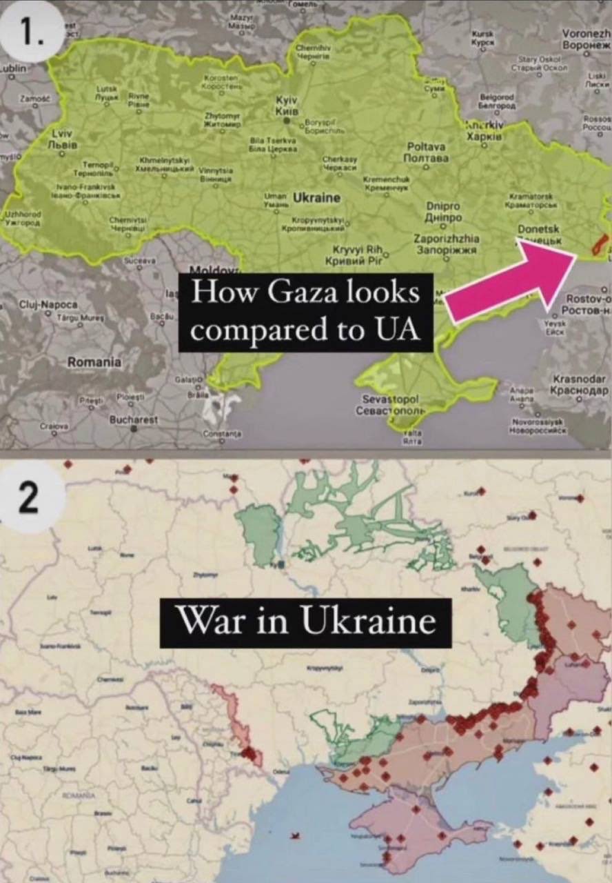 coc1RR_OWU9Icq80epbSn-feZjiPBjoHZYgaxbLW