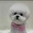 @또디또는떠디
