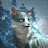 @Macy-the-kitty-cat-wildcraft-