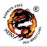 rvHsLMyI_zs-channel-avatar-HERO BARRIER-FREE PRO-WRESTLING-バリアフリープロレス-