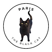Paris the Black Cat