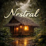 1qFDEJgaNd0-channel-avatar-Nestral