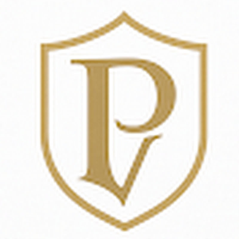 Hire Plavrixen — Leadership & Management YouTube creator for sponsorships