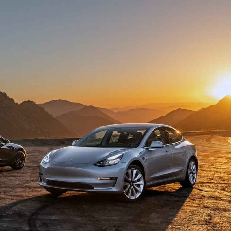 Tall Tesla Guy