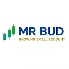 Hire Mr BUD Forex — Marketing & Sales Strategies YouTube creator for sponsorships
